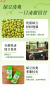 绿豆爽 图片7